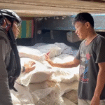 Petugas Bakamla RI melakukan pemeriksaan isi karung yang diangkut KM Sinar Bahtera di Perairan Barat Pulau Galang, Kepulauan Riau, Sabtu (2/8).