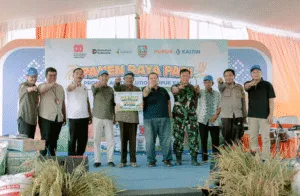 PT Pupuk Kalimantan Timur (Pupuk Kaltim) menggelar panen raya padi di Desa Kesamben, Kabupaten Jombang, Jawa Timur, pada Sabtu (2/8).