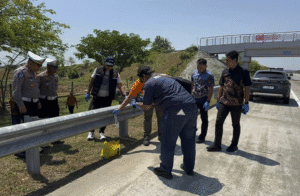 Warga Desa Glonggong, Kecamatan Balerejo, Kabupaten Madiun, Jawa Timur, dikejutkan oleh penemuan sebuah tas plastik berisi karton yang penuh dengan peluru amunisi.