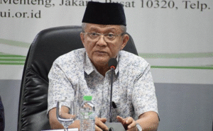 Wakil Ketua Umum MUI, Anwar Abbas.