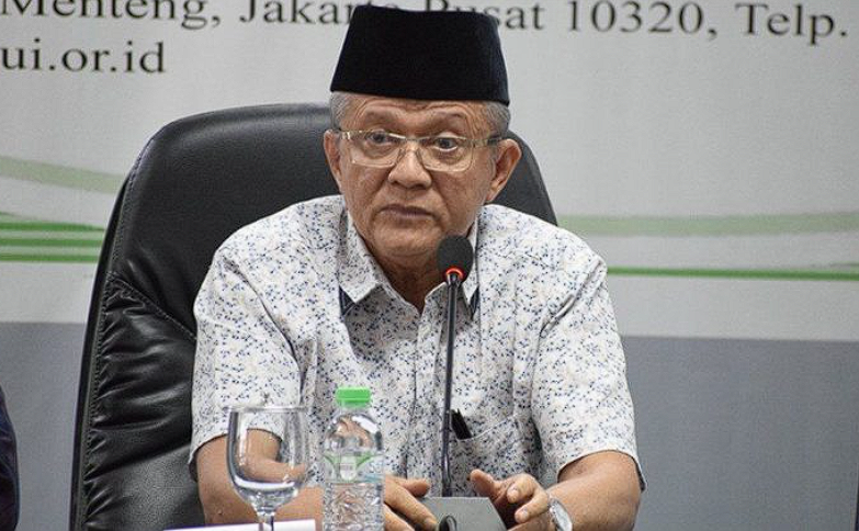 Wakil Ketua Umum MUI, Anwar Abbas.