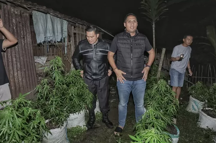 Polres Blitar Kota Bongkar Ladang Ganja Berisi 820 Batang di Desa Krisik 1 Kepolisian Resor (Polres) Blitar Kota berhasil mengungkap keberadaan ladang ganja di Desa Krisik, Kecamatan Gandusari, Kabupaten Blitar, Jawa Timur.