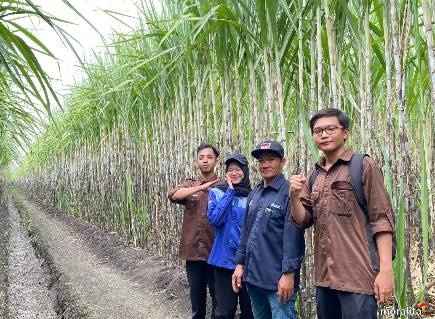 Inovasi PG Gempolkrep dalam Pengendalian Hama Tebu Ramah Lingkungan Berbasis Trichogramma
