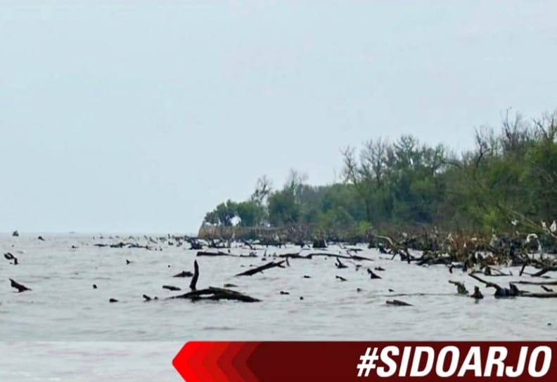 Sertifikat HGB 656 Hektare di Laut Sidoarjo Jadi Jaminan Utang Bank