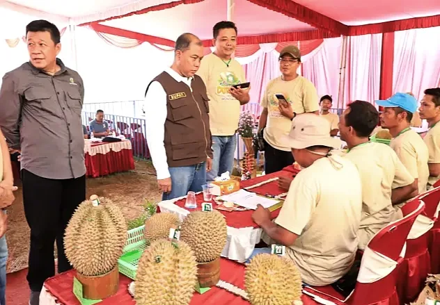 Pemkab Jombang Sukses Gelar Kontes Durian Wonosalam 2025, Dorong ke Level Internasional