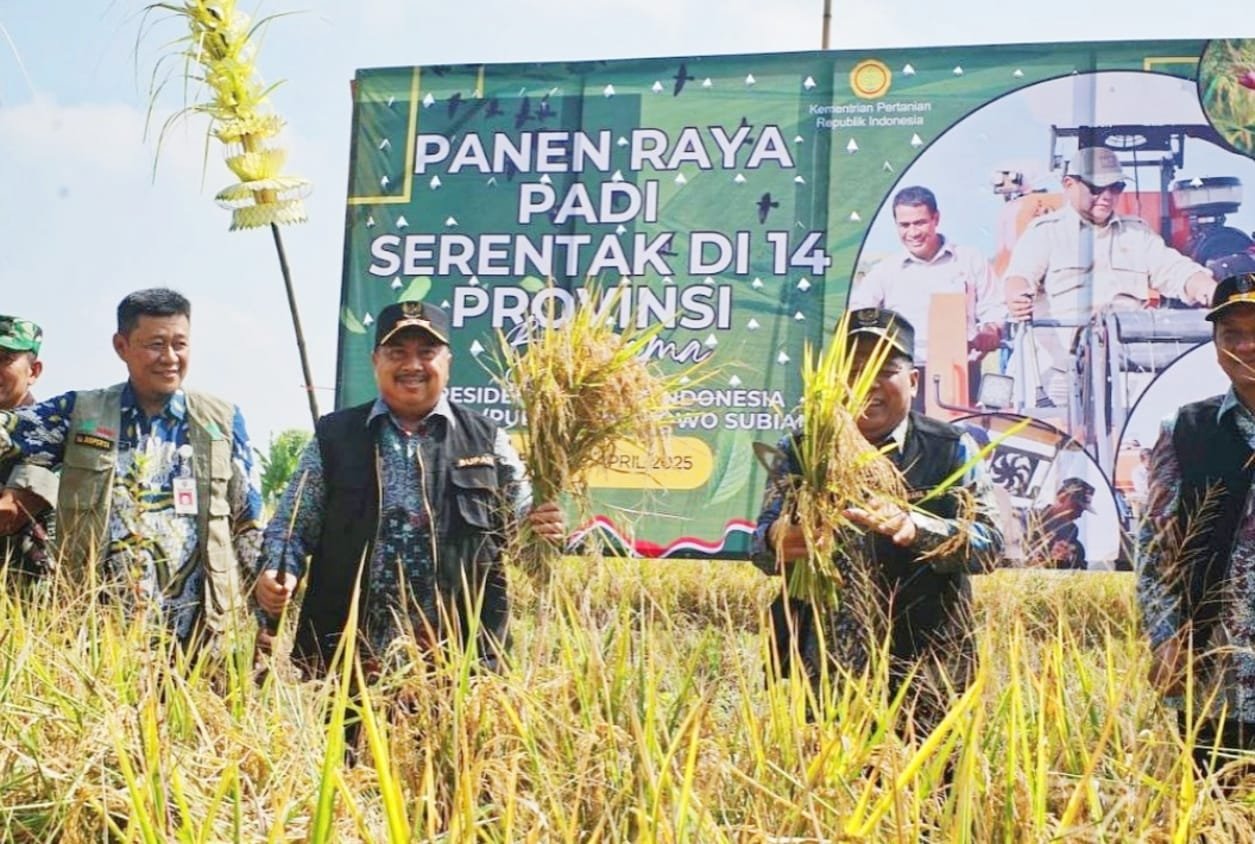 Pemkab Jombang Targetkan Produksi Beras 200 Ribu Ton Tahun 2025, Bupati Warsubi Pacu Ekspansi Lahan dan Teknologi Irigasi